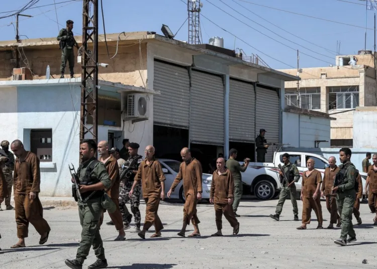 Exdetenidos sospechosos de ser miembros del grupo Estado Islámico (EI) son liberados en la ciudad nororiental de Hasakeh, Siria, el 2 de septiembre de 2024. Créditos: Delil souleiman/AFP