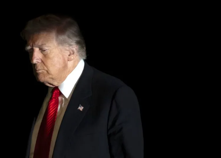 El presidente Donald Trump es iluminado por el flash de una cámara mientras camina por el jardín sur de la Casa Blanca, el domingo 2 de noviembre de 2025, en Washington, tras regresar de un viaje a Florida. (AP Photo/Mark Schiefelbein)