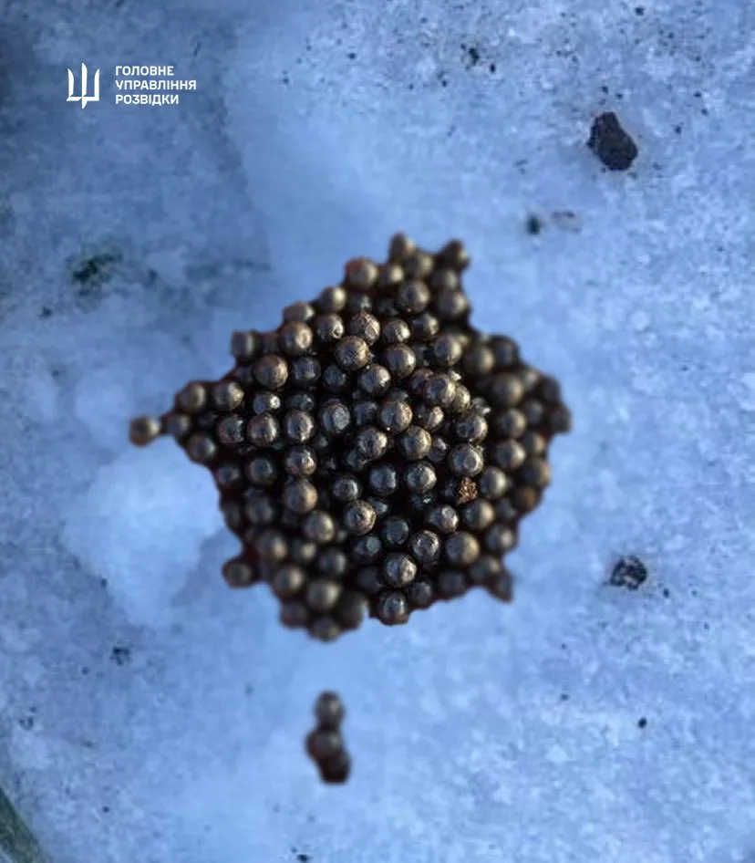 Esta imagen, proporcionada por GUR, aparentemente muestra los restos parciales de un Geran-5. Dirección de Inteligencia de Defensa de Ucrania (GUR)