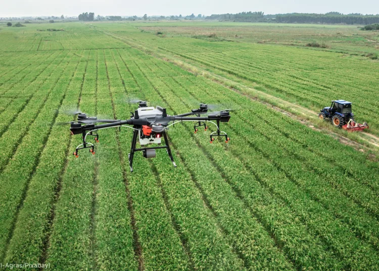 Los drones monitorean las condiciones del campo agrícola en tiempo real. Crédito: DJI Agras Pixabay