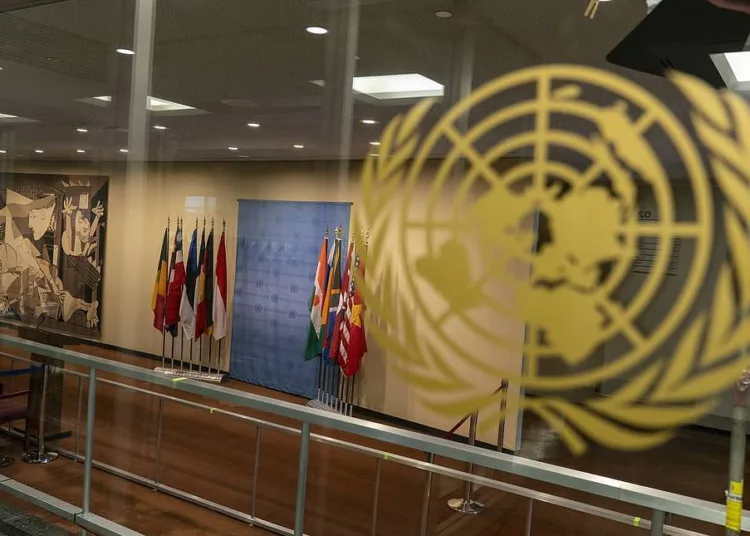 El Consejo de Seguridad de la ONU aprobó el plan de Trump para Gaza / AP Photo - Mary Altaffer