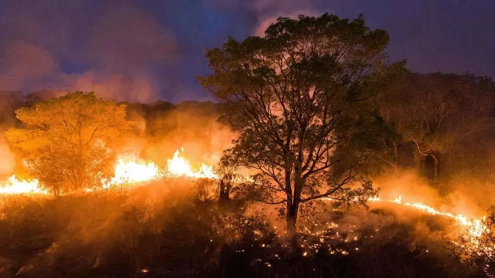 Brasil: envían refuerzos para combatir los incendios que devoran el Pantanal