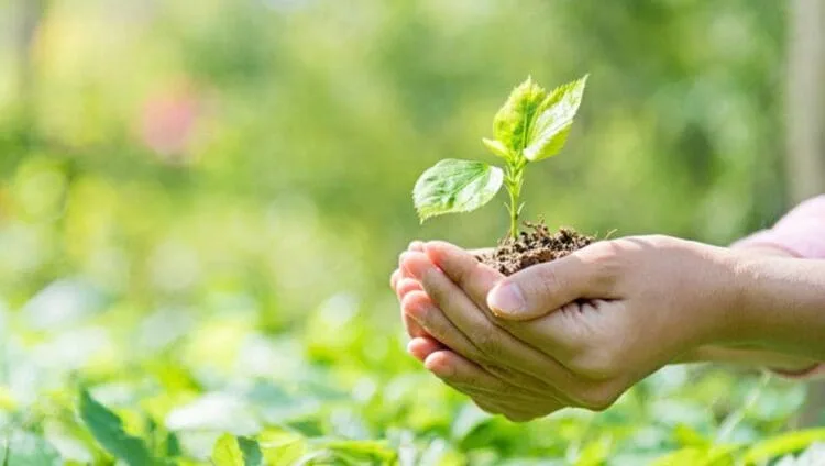 Agenda 2030: Bolivia, Colombia, Ecuador y Perú firman la “Carta Ambiental”