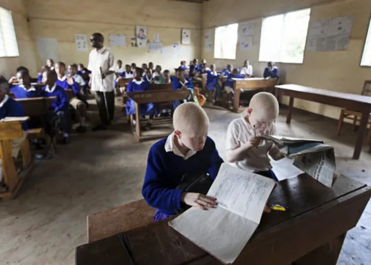 Escuela Mwereni en Moshi, Tanzania - Escritorios alejados de la luz solar directa para estudiantes albinos. Autor: Sean Robson.