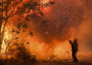 Foto: AP / Nicolas Aguilera