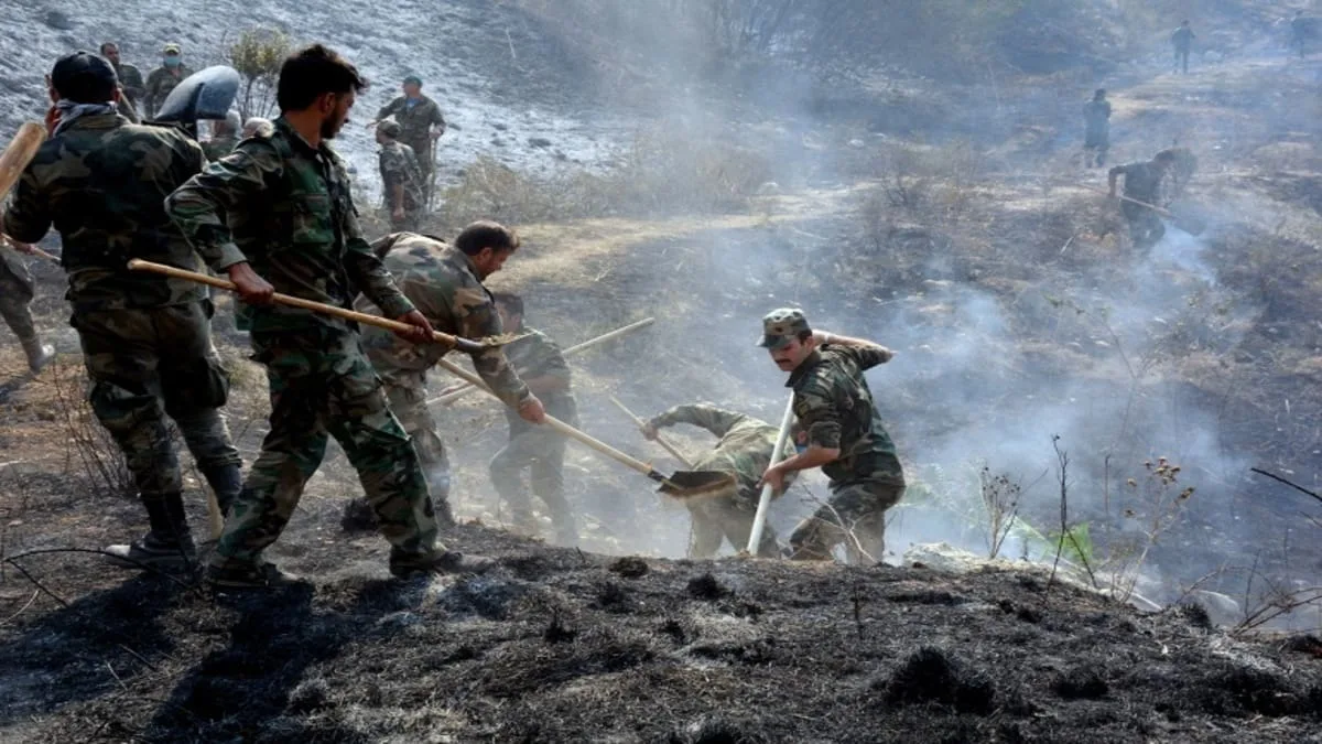 Siria: el gobierno ejecuta a 24 personas por provocar incendios forestales mortales