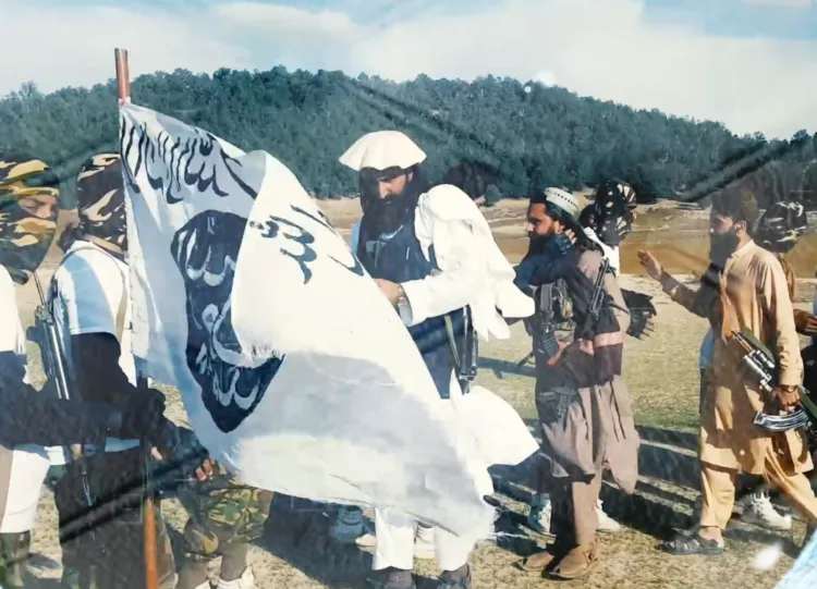 christopher anzalone