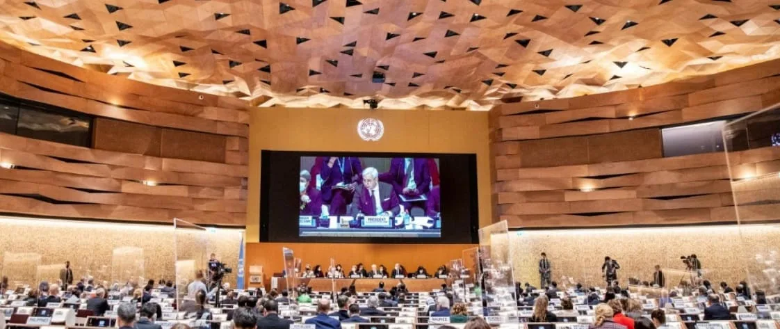 El Consejo de Derechos Humanos de la ONU -presidido por Argentina- y una decisión clave sobre Ucrania