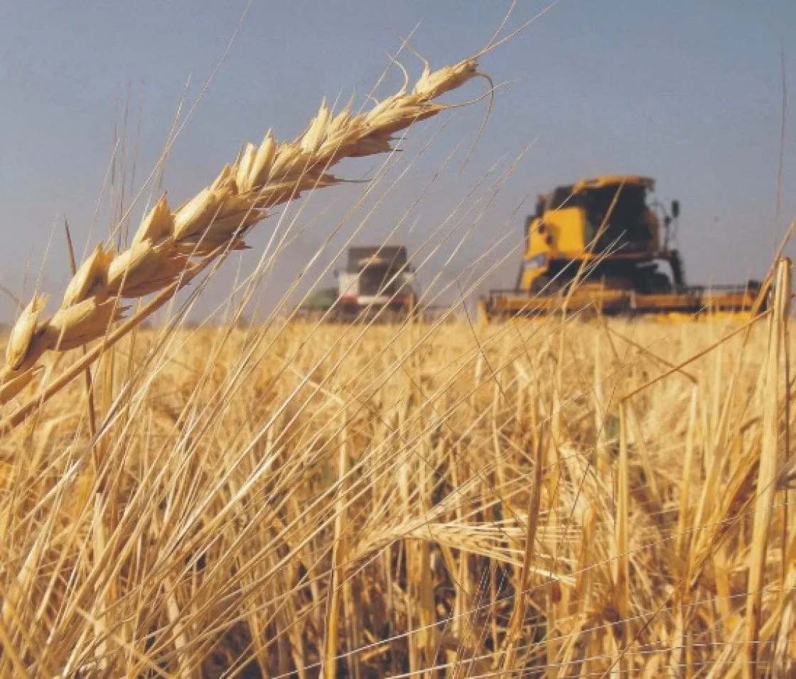 La guerra en Ucrania impulsará la producción de trigo en Argentina y Brasil
