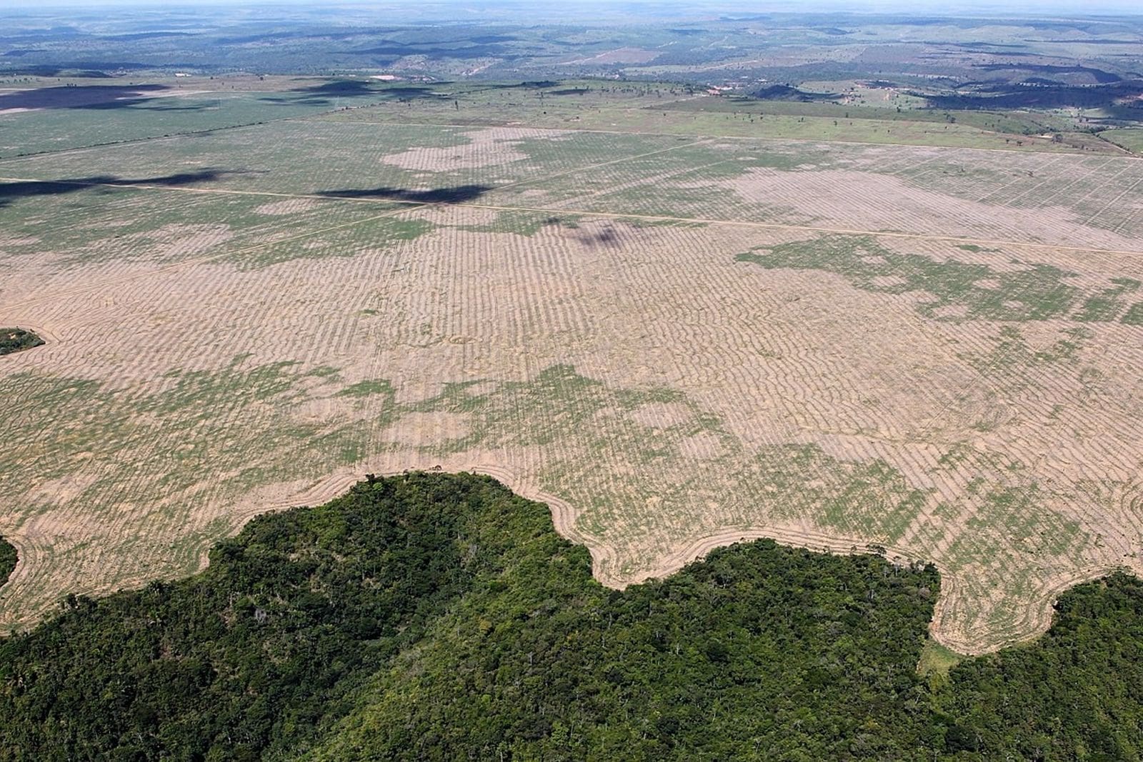 Abril marcó un récord en deforestación el Amazonia