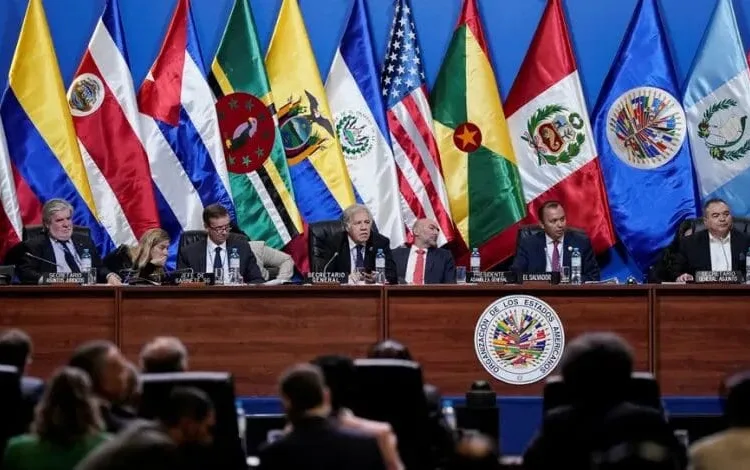 Negocios