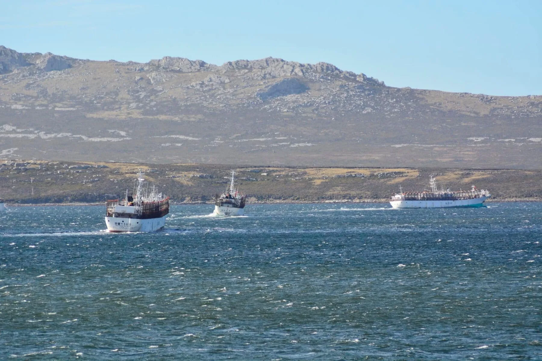 El gobierno de ocupación de Malvinas otorga nuevas licencias de pesca a empresas extranjeras