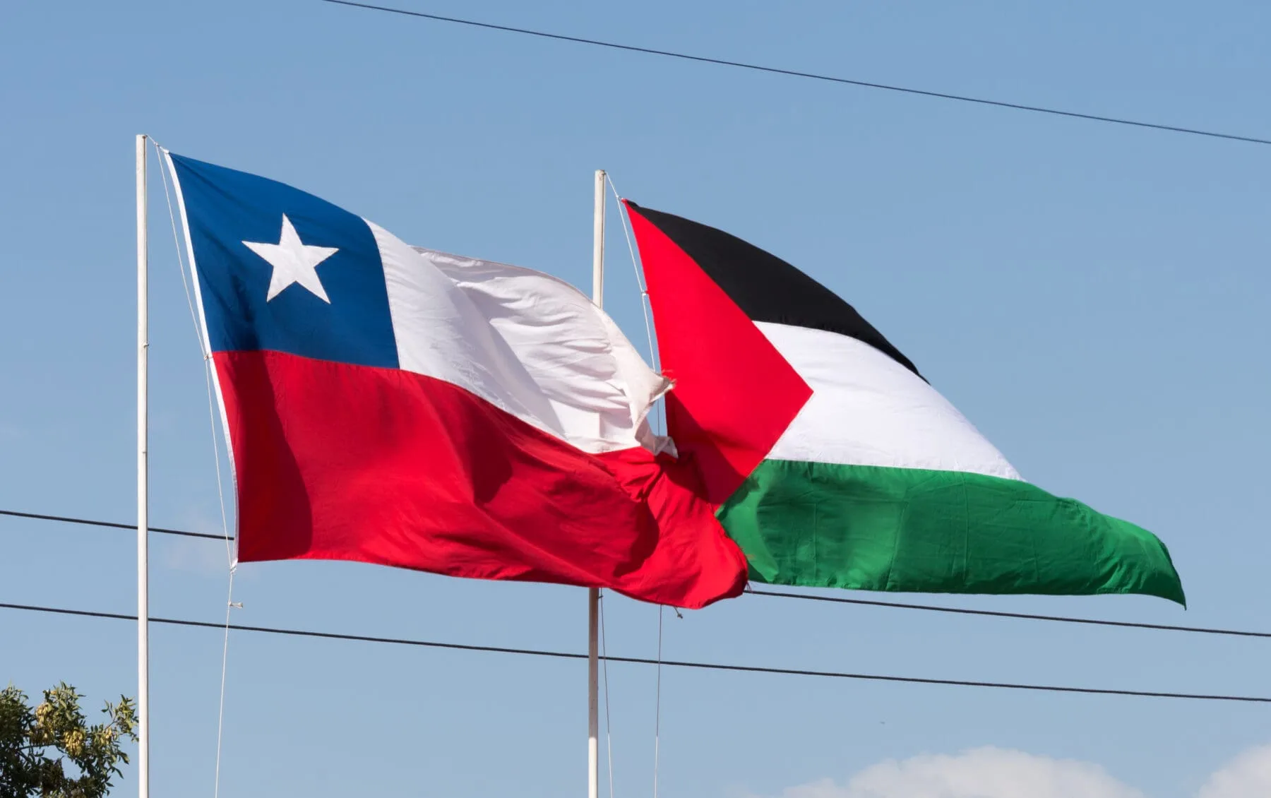 El gobierno de Chile planea abrir una embajada en territorio palestino