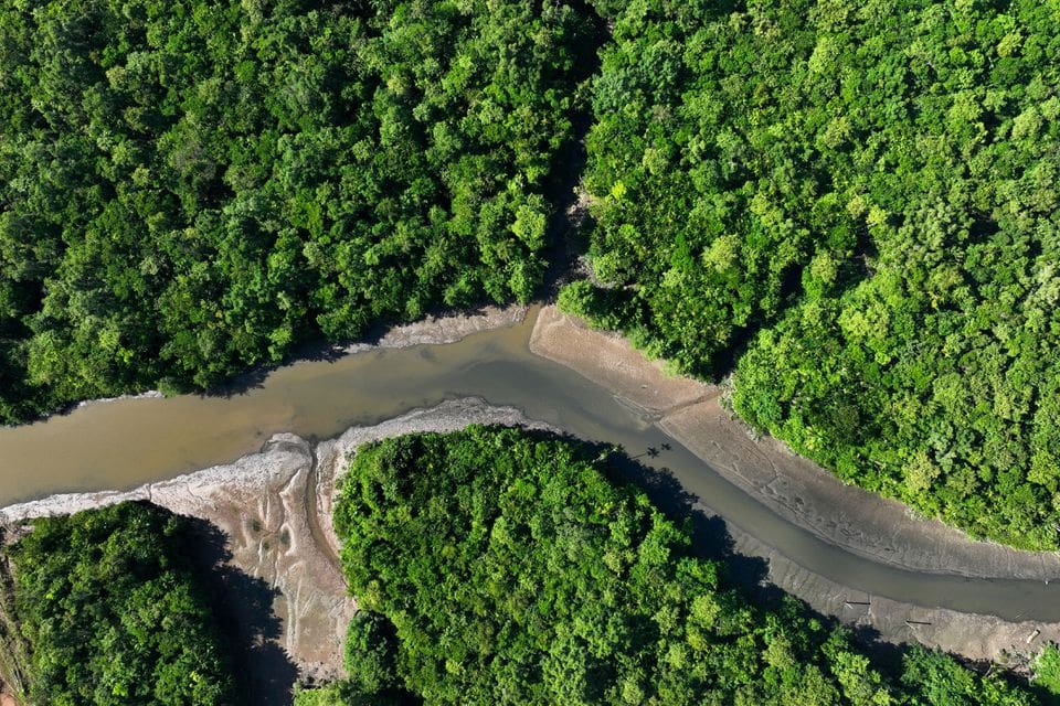 Líderes de naciones amazónicas se reúnen en Brasil para  debatir sobre el futuro de la selva tropical