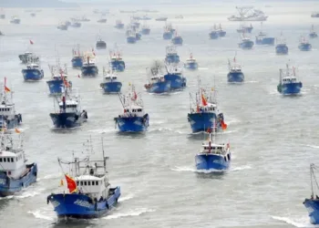 Búques de pesca chinos. Créditos: archivo