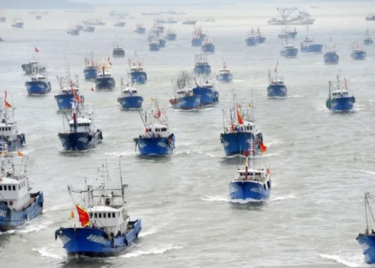 Búques de pesca chinos. Créditos: archivo