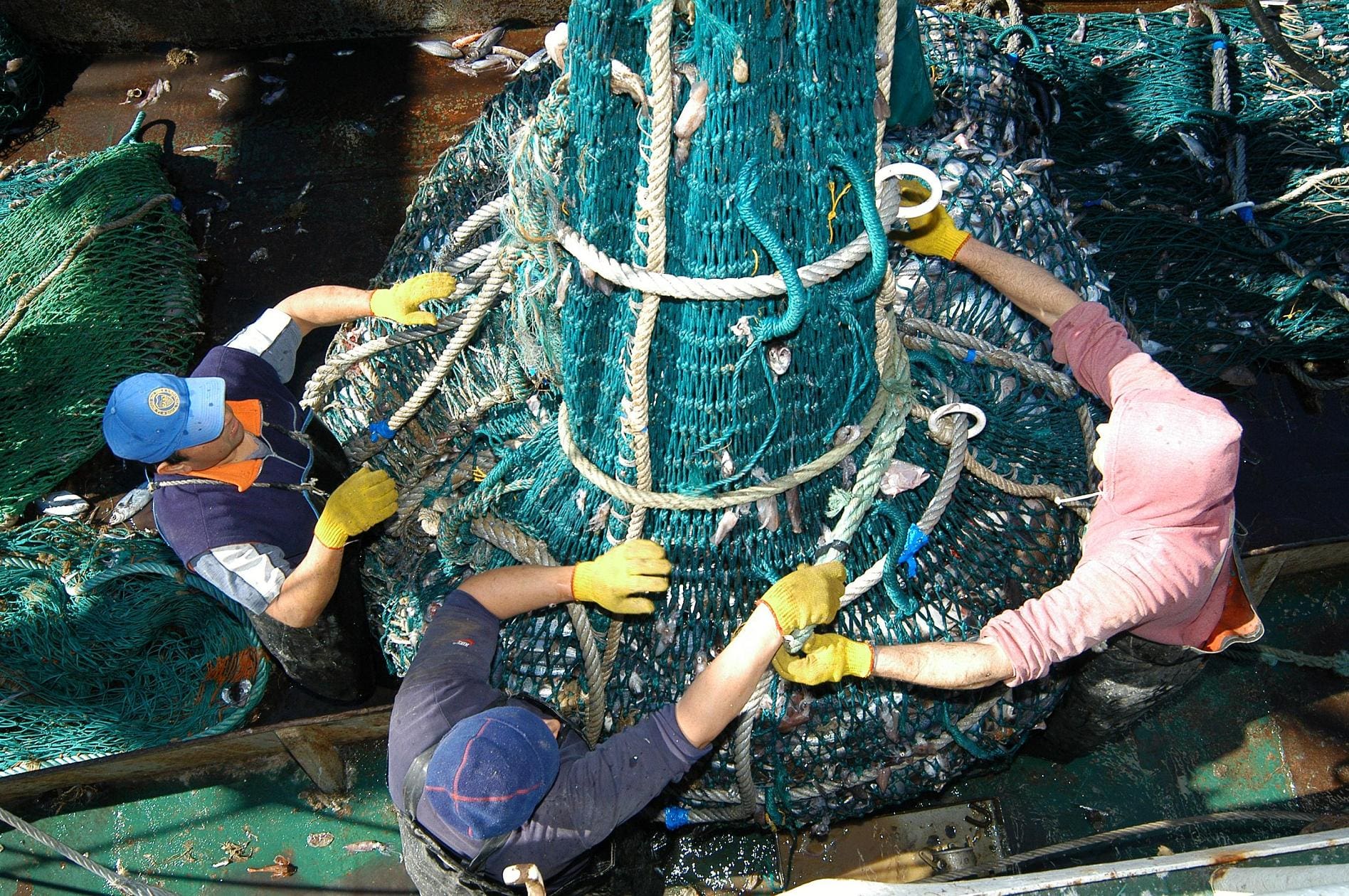 Hacia un competitivo modelo pesquero nacional