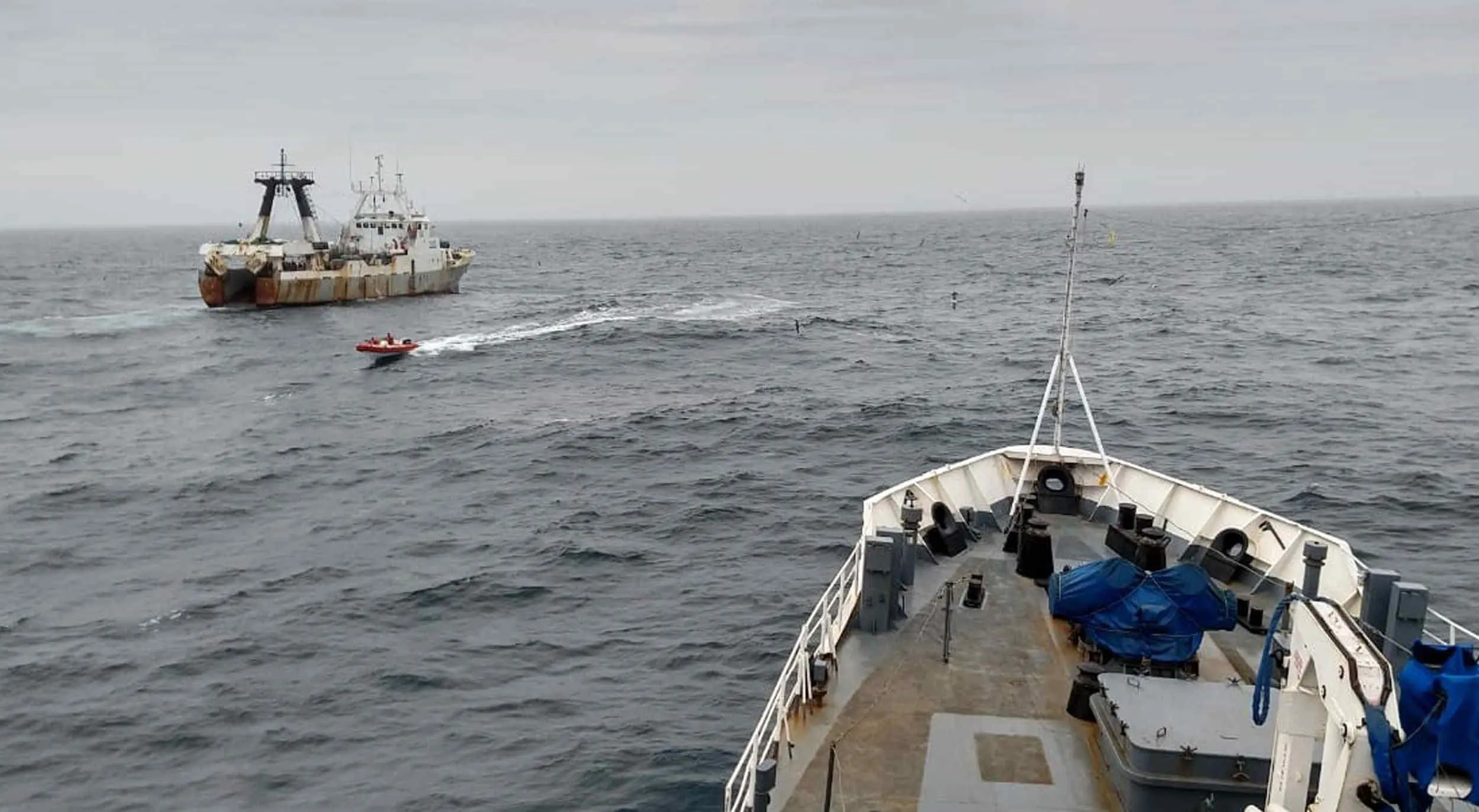 La pesca ilegal en las Islas Malvinas podría desencadenar un grave conflicto diplomático