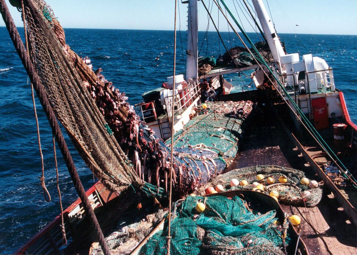 Tras las quejas de varias provincias, el gobierno argentino cambia artículos de la Ley de Pesca