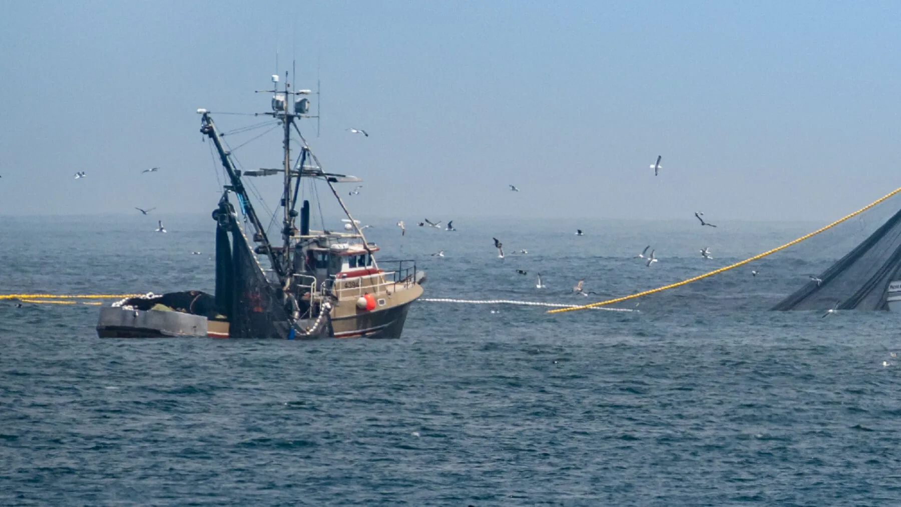 Los cambios a la reforma de la Ley de Pesca no alcanzan