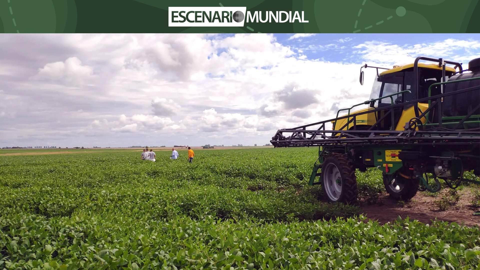 El agro argentino, clave para la situación fiscal y financiera del país