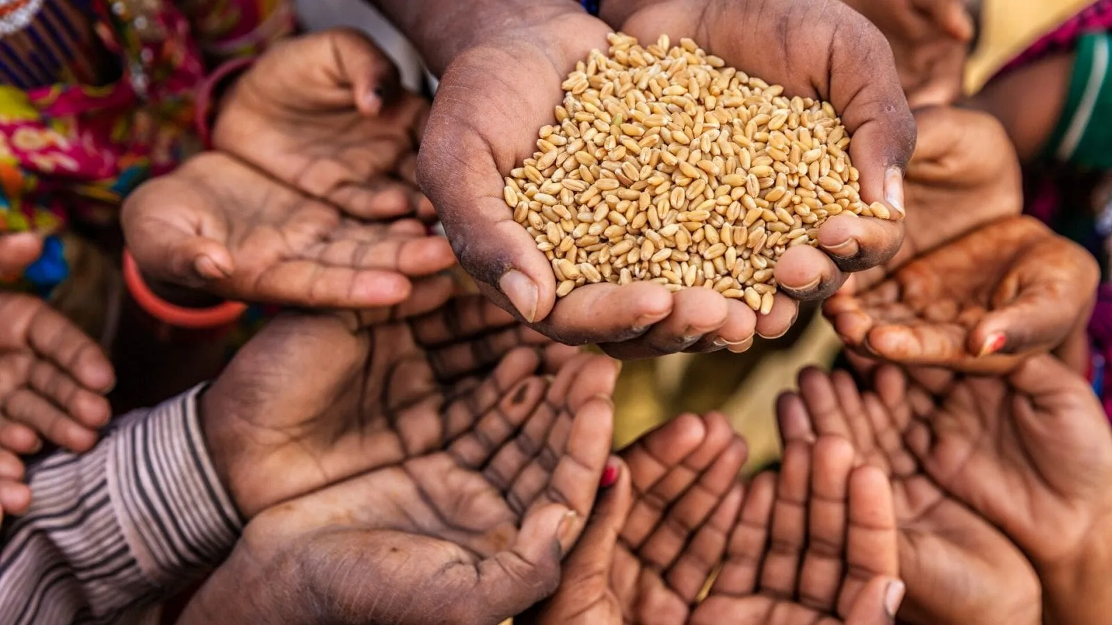 Según un informe de la ONU, África superará a Asia con mayor número de personas hambrientas para 2030