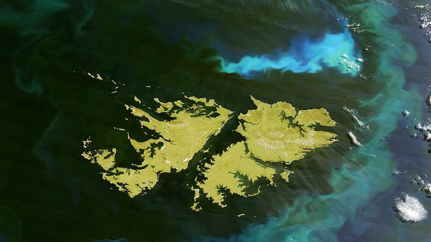 ¿Qué hay detrás de la alerta del ex capitán británico sobre no poder mantener su status en Malvinas?