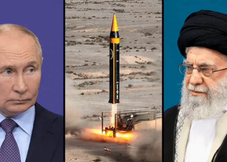 Ynetnews