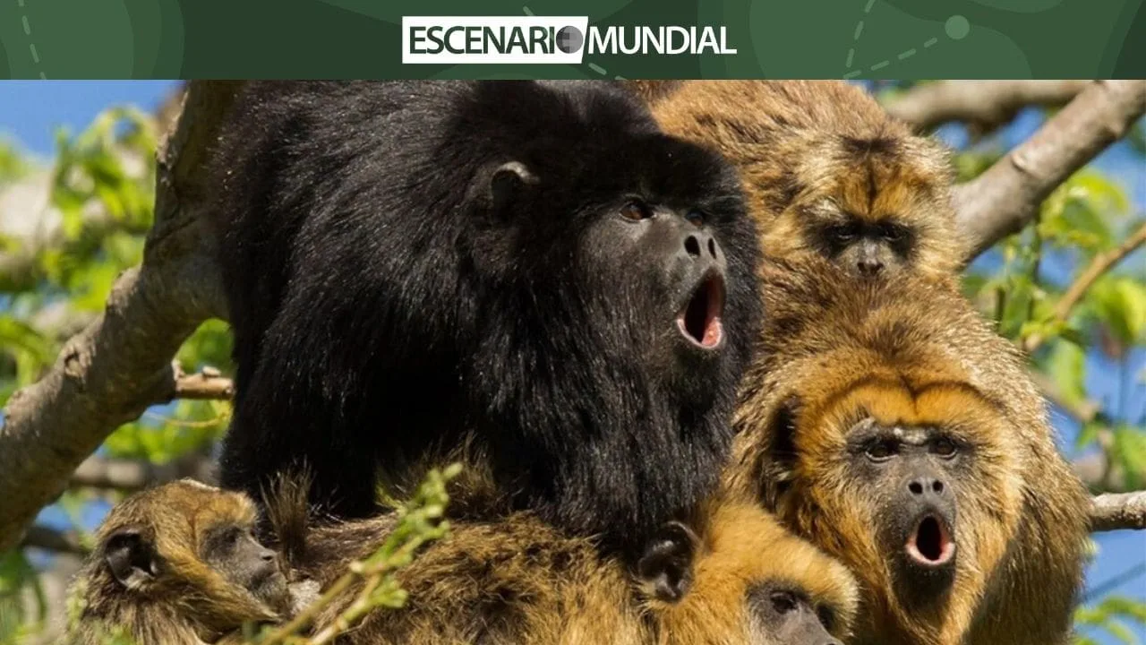 Cumbre de Diversidad Biológica, un llamado a la acción en la lucha por la conservación