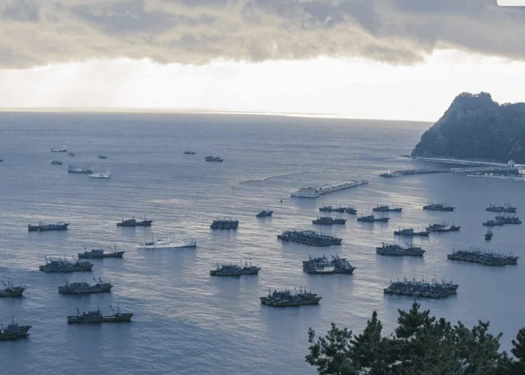 Global Fishinh Watch