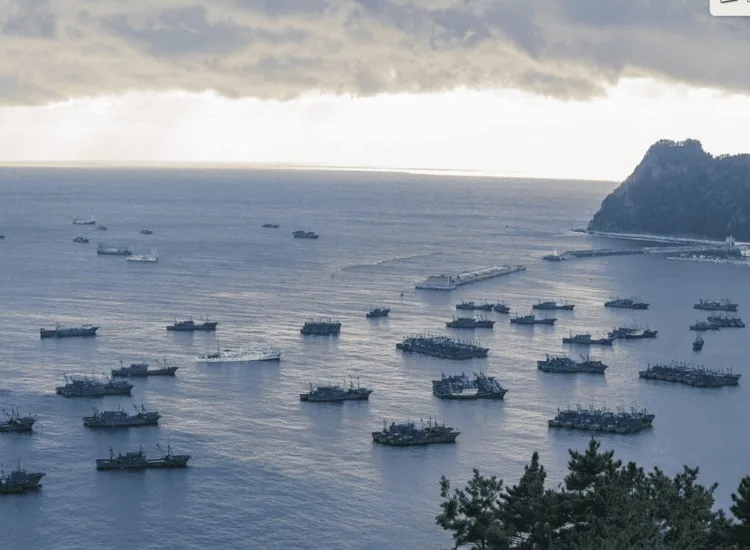 Global Fishinh Watch