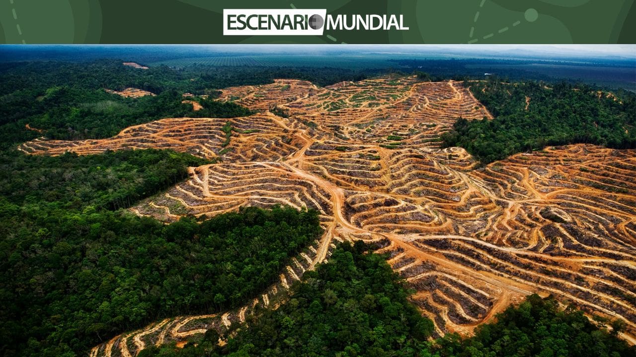 ¿Por qué podría postergarse la implementación del Reglamento de la Unión Europea sobre Deforestación?