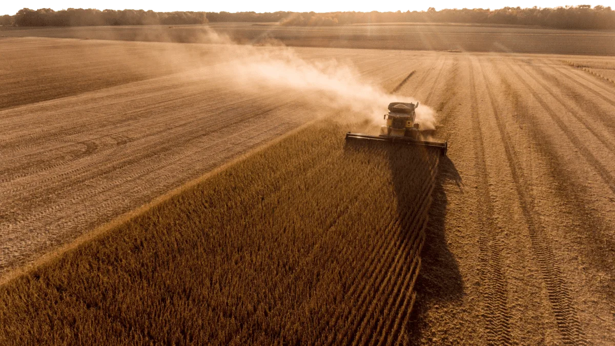 El rol de EE.UU. en la economía argentina