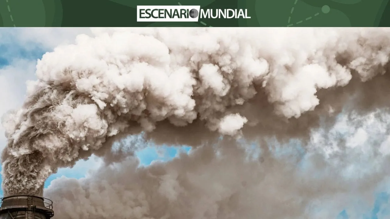 El futuro de las emisiones: Mercados de carbono y compromisos en la COP29