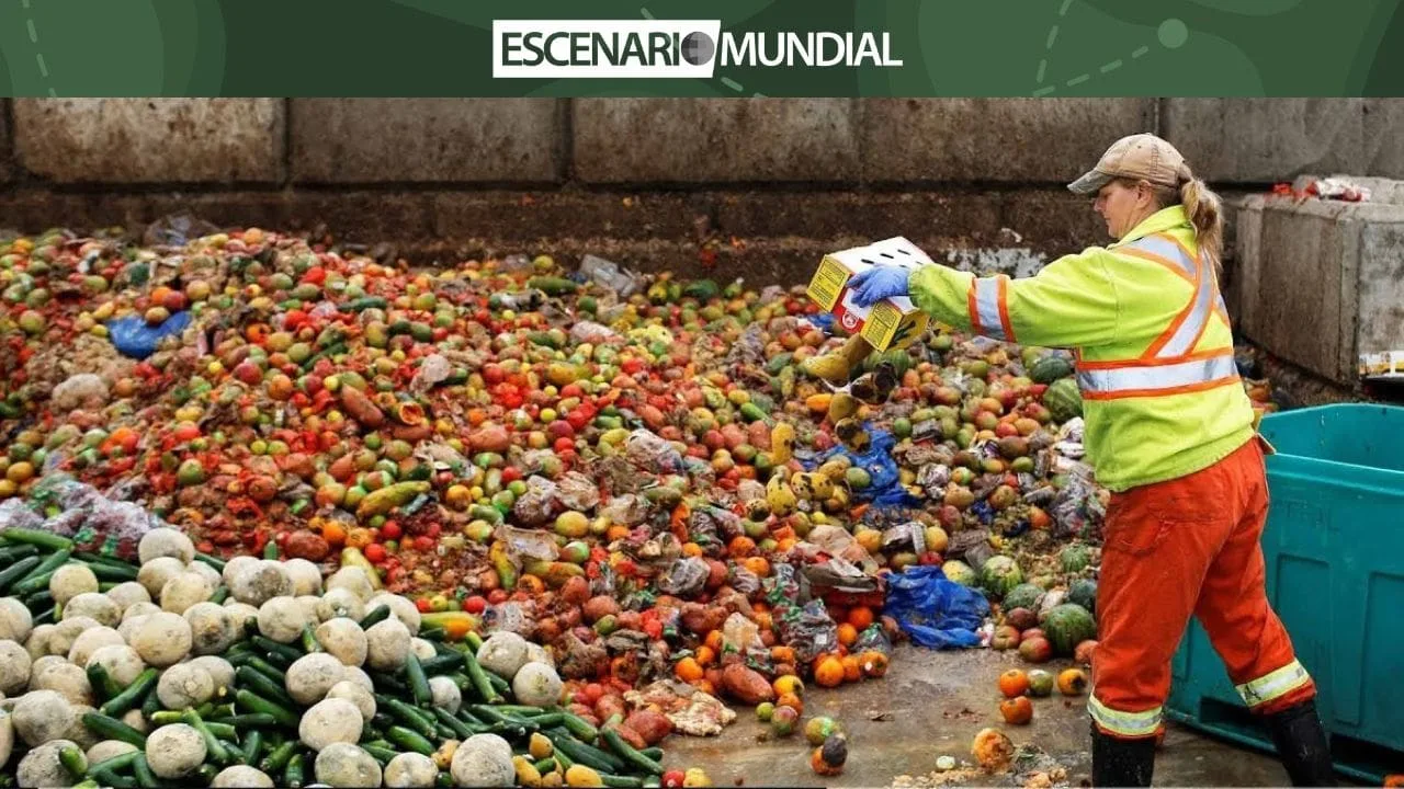 Inseguridad alimentaria y desperdicio de alimentos, dos caras de un mismo problema