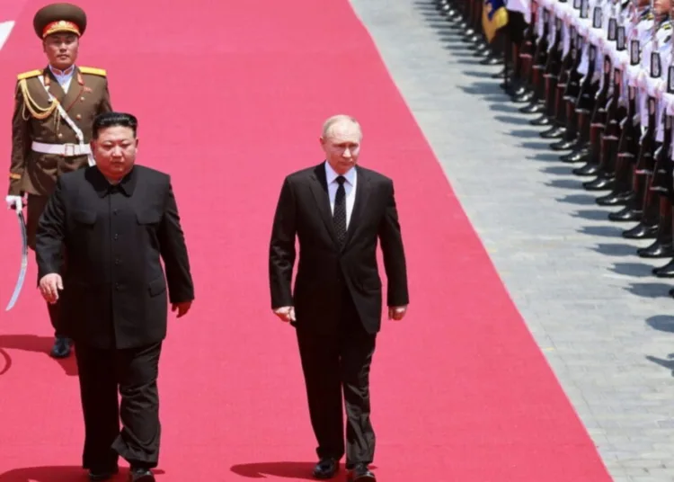 Contributor/Getty Images