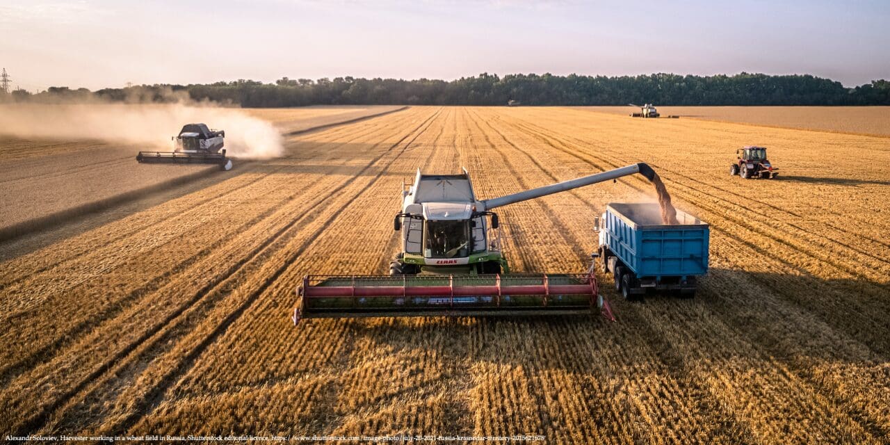 Exportaciones récord de trigo ruso amenaza la economía argentina
