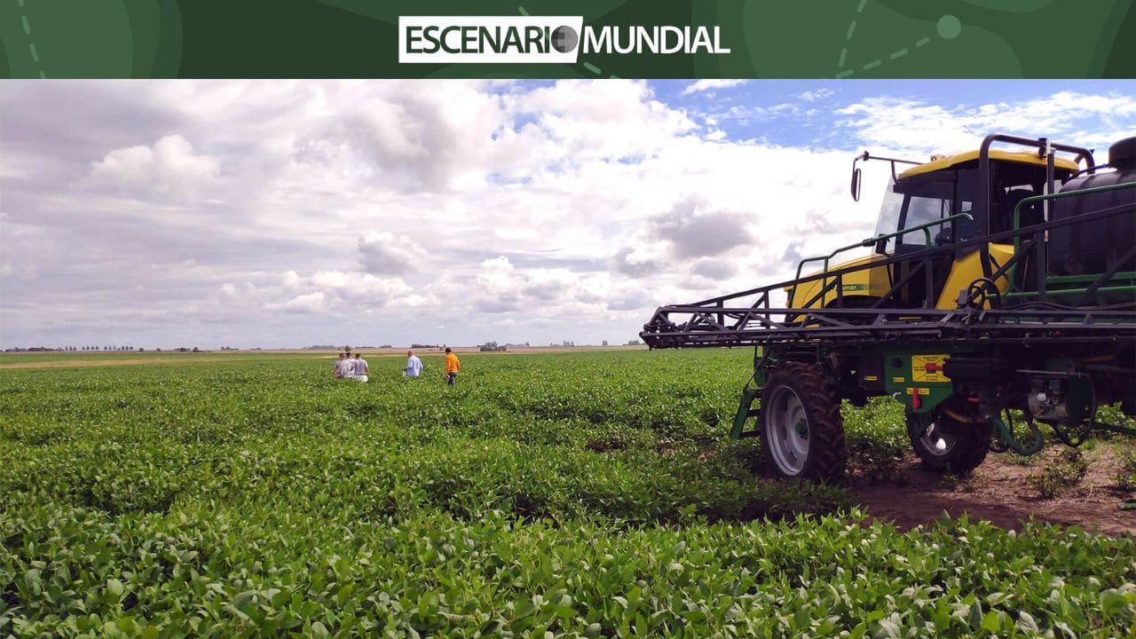 Argentina y el agro en 2025: un panorama complejo