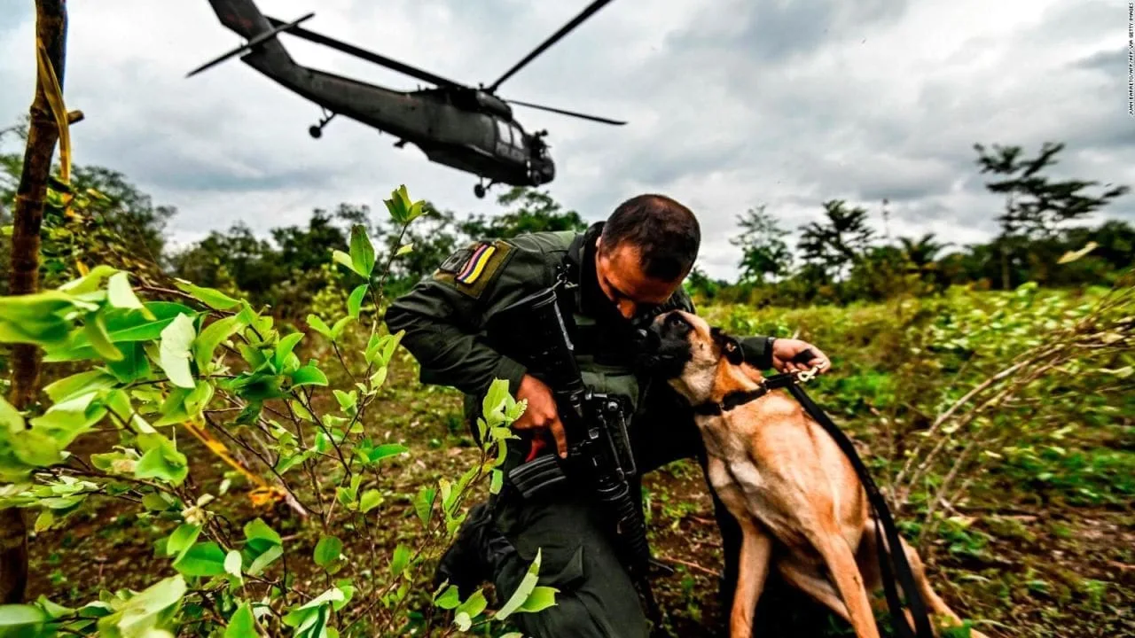Gustavo Petro afirma que narcotraficantes planean derribar su avión con misiles en Colombia
