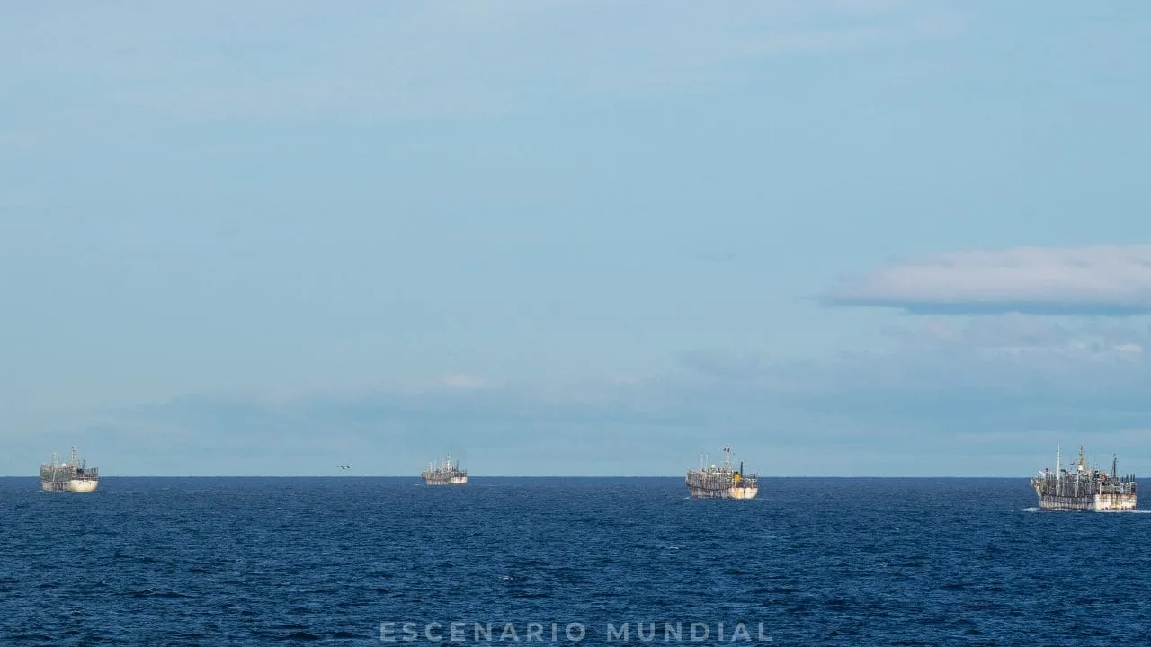 Detalles sobre la flota de pesqueros chinos en la milla 200 – depredación y estrategias encubiertas