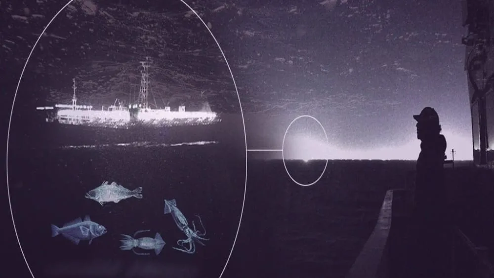 Incidente entre buques pesqueros extranjeros expone la falta de control más allá de la Milla 200