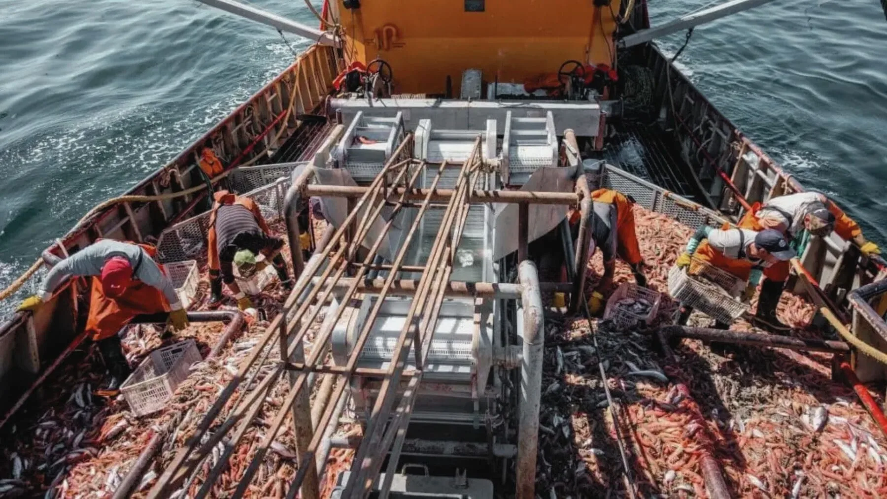 Argentina registra pérdidas en el sector pesquero con una caída del 22,7% interanual en diciembre de 2024