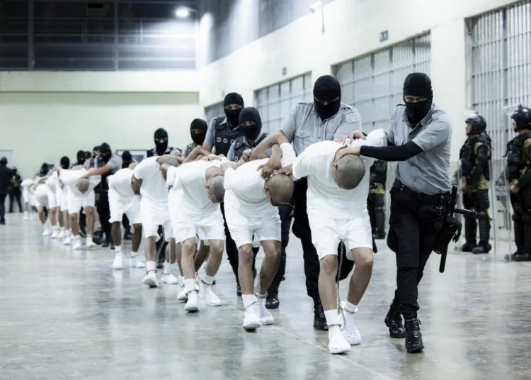 En esta fotografía proporcionada por la oficina de prensa de la presidencia de El Salvador, guardias penitenciarios trasladan a presuntos pandilleros venezolanos, deportados de Estados Unidos, al Centro de Confinamiento del Terrorismo (CECOT), en Tecoluca, El Salvador, el domingo 16 de marzo de 2025. (Oficina de prensa de la presidencia de El Salvador vía AP)