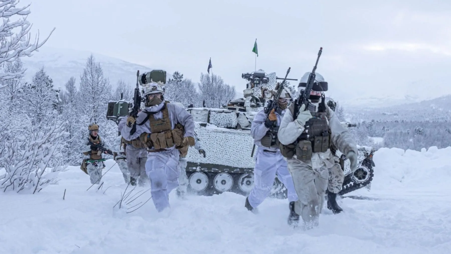 Comandos árticos