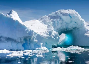 Créditos: Robert mcgillivray/Shutterstock