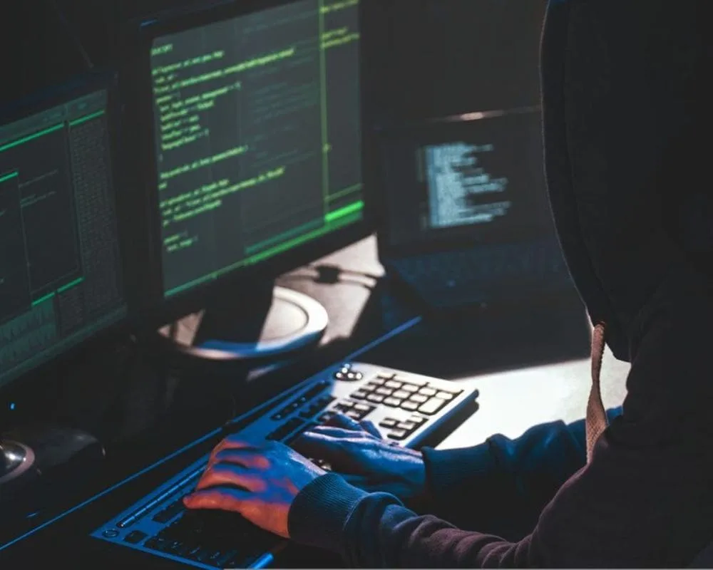 Ciberataques rusos paralizan sitios web gubernamentales en Países Bajos antes de la cumbre de la OTAN