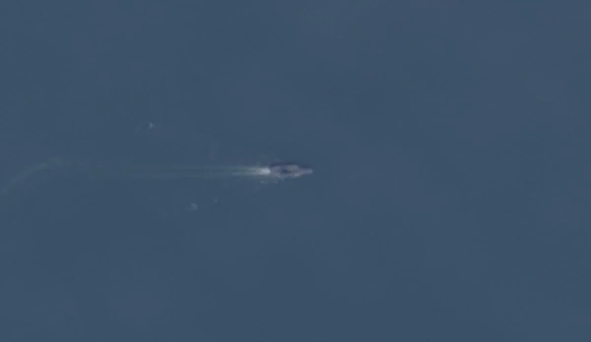 Imágenes satelitales muestran al portaaviones chino Liaoning intensificando su presencia cerca de aliados de Estados Unidos