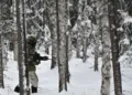 ÁREA DE ENTRENAMIENTO DE DONNELLY, ALASKA, ESTADOS UNIDOS, 11.16.2024. Foto de John Pennell, 11ª División Aerotransportada. Créditos: DVIDS