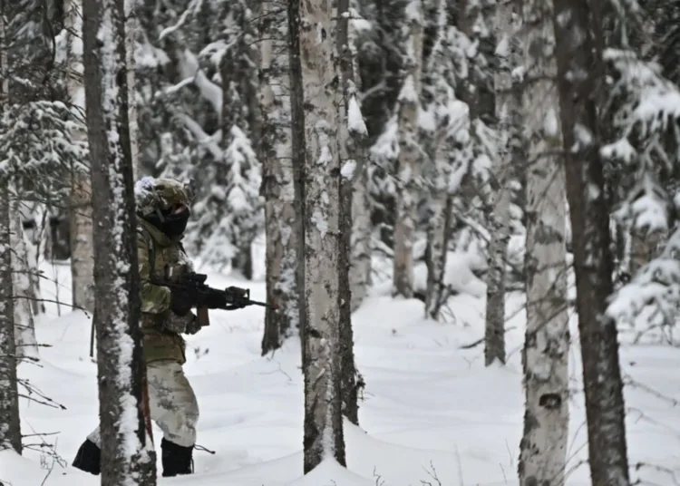 ÁREA DE ENTRENAMIENTO DE DONNELLY, ALASKA, ESTADOS UNIDOS, 11.16.2024. Foto de John Pennell, 11ª División Aerotransportada. Créditos: DVIDS