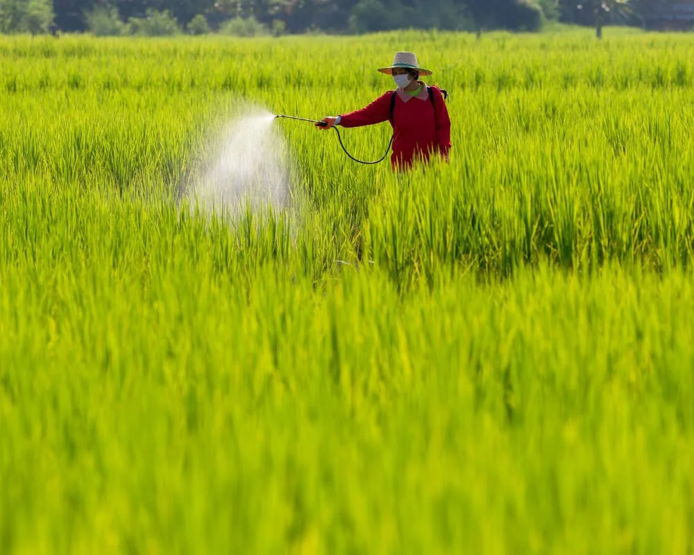 La agricultura de América Latina en alerta por sanciones de EE.UU. a fertilizantes rusos